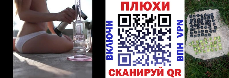 ГАШ Premium  Можга 