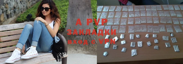 индика Арсеньев