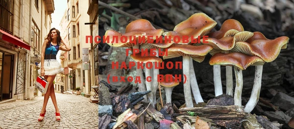 кокс Аркадак