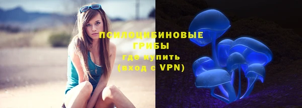 хмурый Сосновый Бор