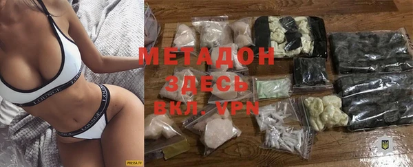 индика Арсеньев