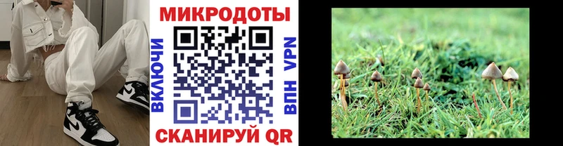 маркетплейс состав Можга Псилоцибиновые грибы мухоморы