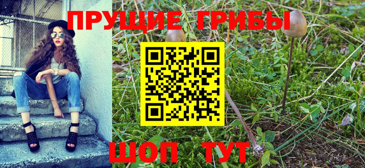Галлюциногенные грибы прущие грибы  как найти закладки  Можга  Вход с VPN 