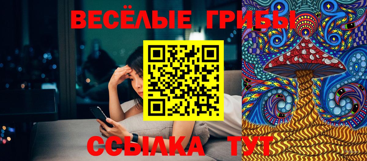 Галлюциногенные грибы прущие грибы Можга