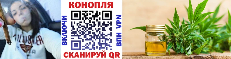 Бошки Шишки ГИДРОПОН  продажа наркотиков  Можга 